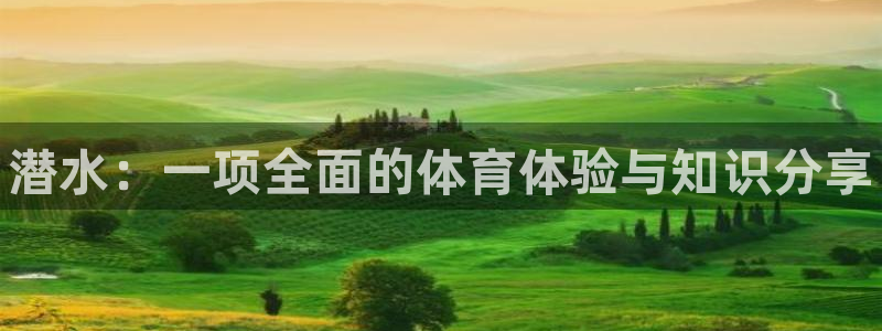 下载风速体育