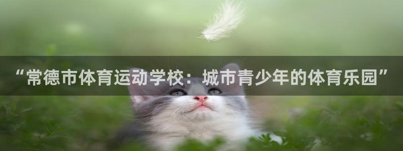 风速体育nba直播：“常德市体育运动学校：城市青少年的体育乐园”