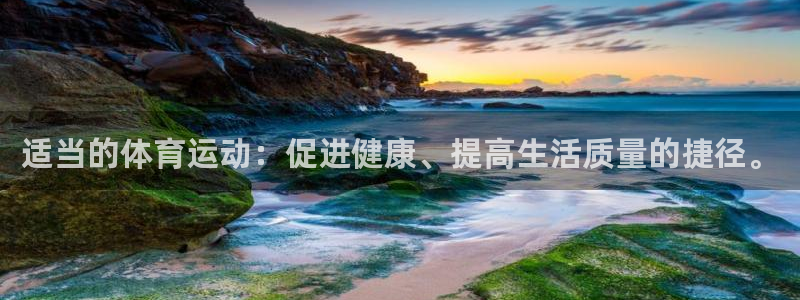 风速体育直播app
