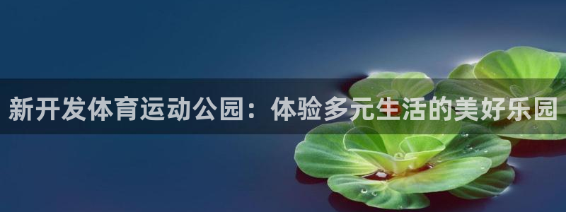 风速体育app：新开发体育运动公园：体验多元生活的美好乐园
