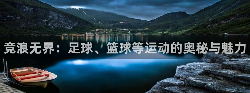 风速体育直播：竞浪无界：足球、篮球等运动的奥秘与魅力