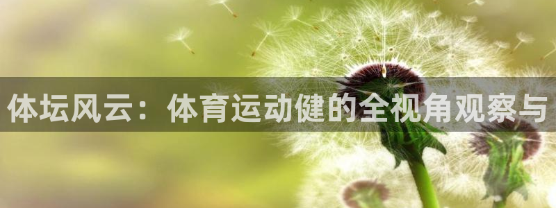 风速体育直播：体坛风云：体育运动健的全视角观察与