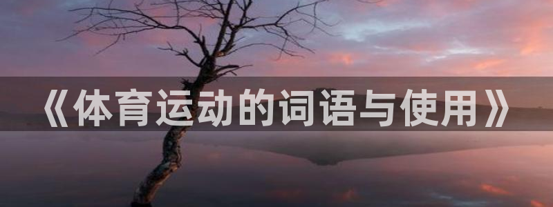 风速体育直播app：《体育运动的词语与使用》