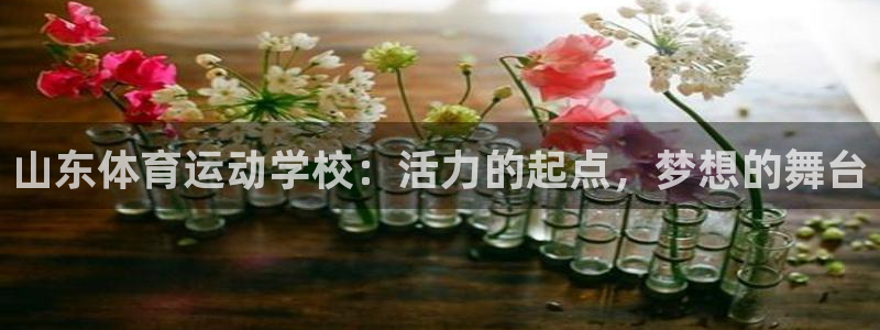 风速体育cba直播：山东体育运动学校：活力的起点，梦想的舞台