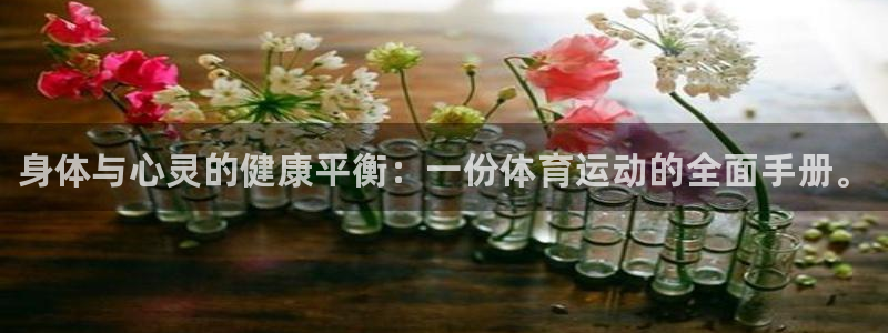 风速体育
