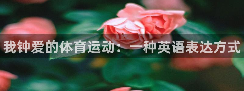 风速体育nba直播：我钟爱的体育运动：一种英语表达方式