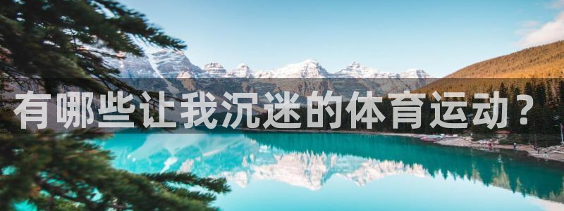 风速体育app下载安装最新版本：有哪些让我沉迷的体育运动？