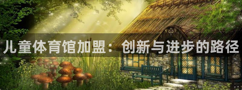 风速体育直播：儿童体育馆加盟：创新与进步的路径