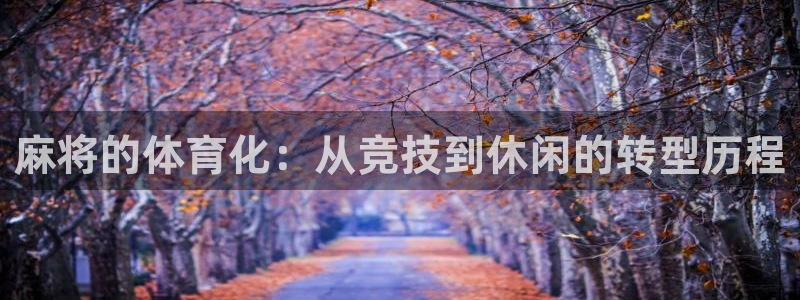 风速体育：麻将的体育化：从竞技到休闲的转型历程