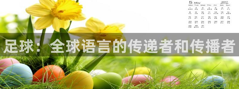 风速体育app下载安装最新版本：足球：全球语言的传递者和传播者
