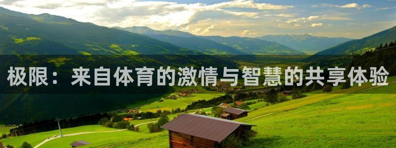 风速体育直播：极限：来自体育的激情与智慧的共享体验