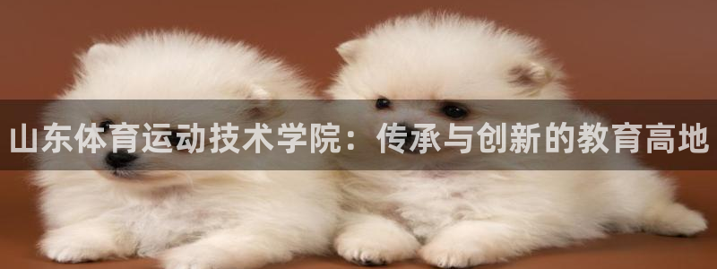 风速体育下载