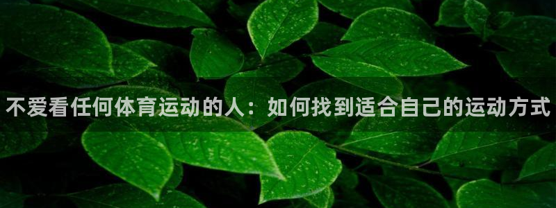 风速体育nba免费直播：不爱看任何体育运动的人：如何找到适合自己的运动方式