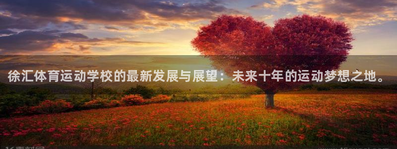 下载风速体育：徐汇体育运动学校的最新发展与展望：未来十年的运动梦想之地。