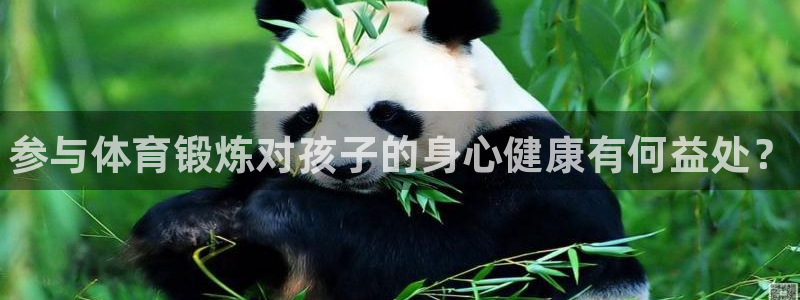 风速体育直播app：参与体育锻炼对孩子的身心健康有何益处？