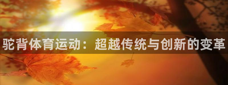 风速体育下载：驼背体育运动：超越传统与创新的变革