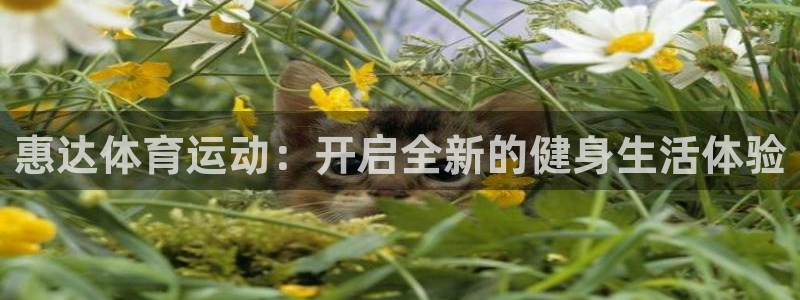 风速体育直播app：惠达体育运动：开启全新的健身生活体验