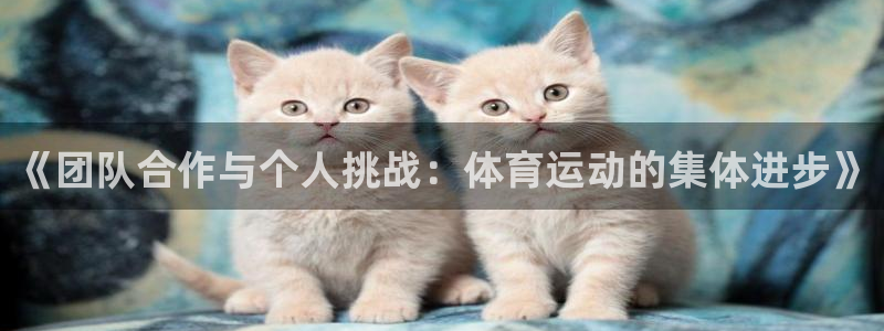 风速体育cba直播：《团队合作与个人挑战：体育运动的集体进步》