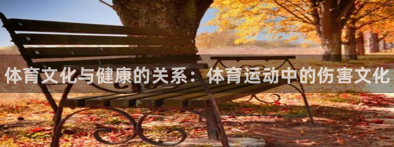 风速体育直播app：体育文化与健康的关系：体育运动中的伤害文化