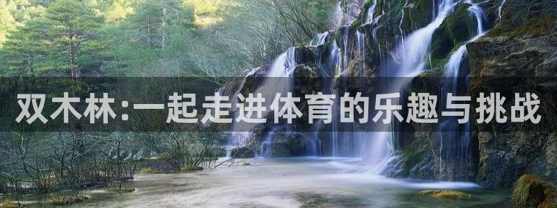 风速体育直播：双木林:一起走进体育的乐趣与挑战