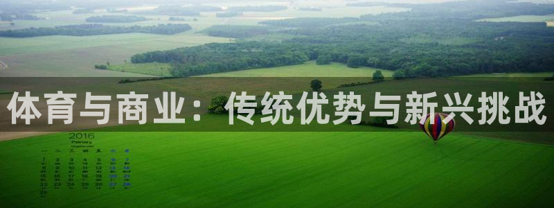 风速体育app官方下载：体育与商业：传统优势与新兴挑战