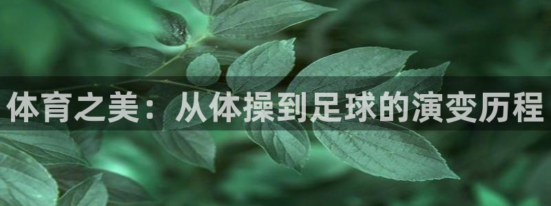 体育之美：从体操到足球的演变历程