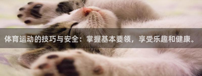 下载风速体育：体育运动的技巧与安全：掌握基本要领，享受乐趣和健康。