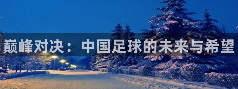 下载风速体育：巅峰对决：中国足球的未来与希望